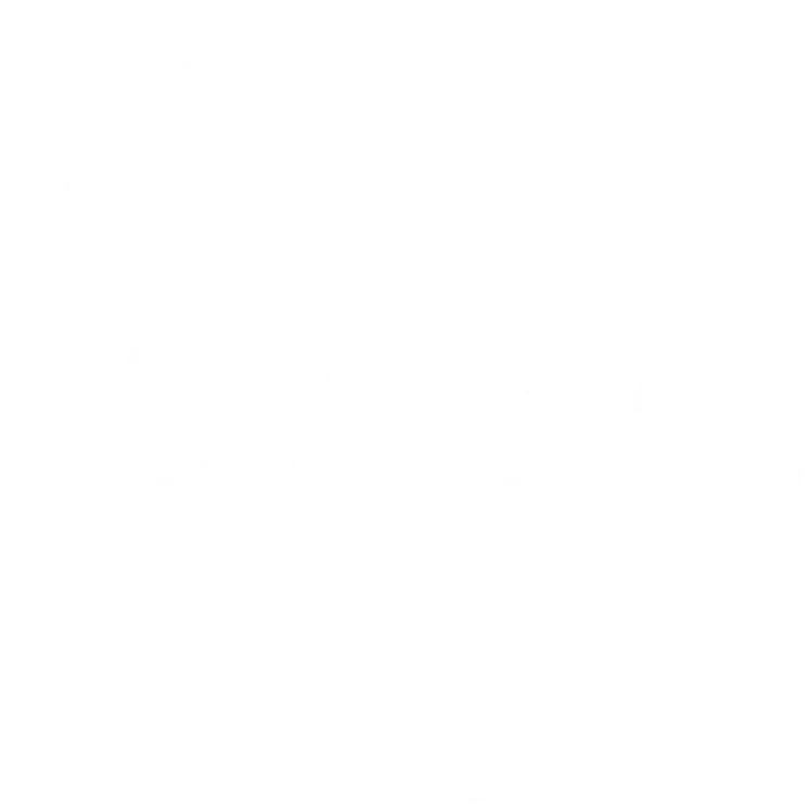 Transparent DABA logo with white circular background, promoting Norway Private Tours.