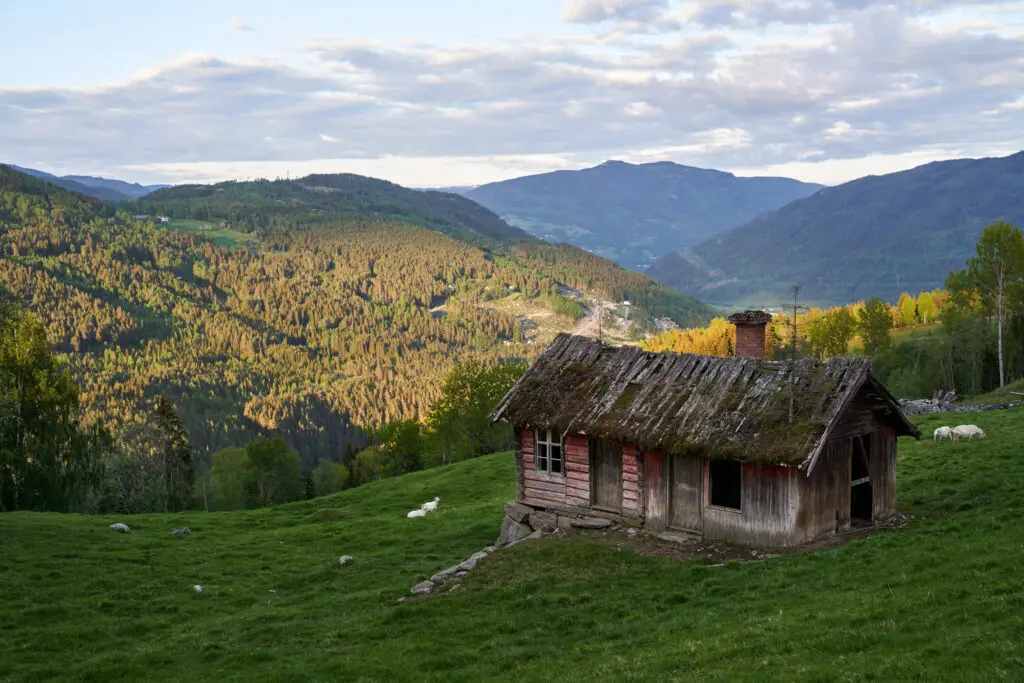 Traditional Norwegian wooden cabin with moss-covered roof in rural Hallingdal, surrounded by lush green fields and a backdrop of mountainous landscapes, illustrating Norway's picturesque countryside.